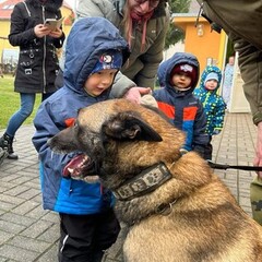 Děti si hladí fenku Happy